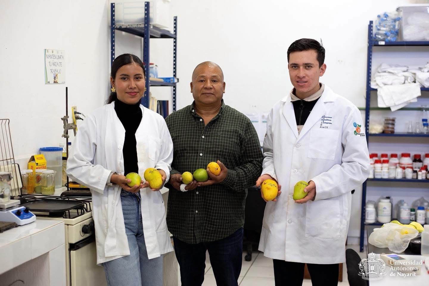 Jóvenes científicos en la UAN revolucionan la conservación del mango con recubrimientos naturales